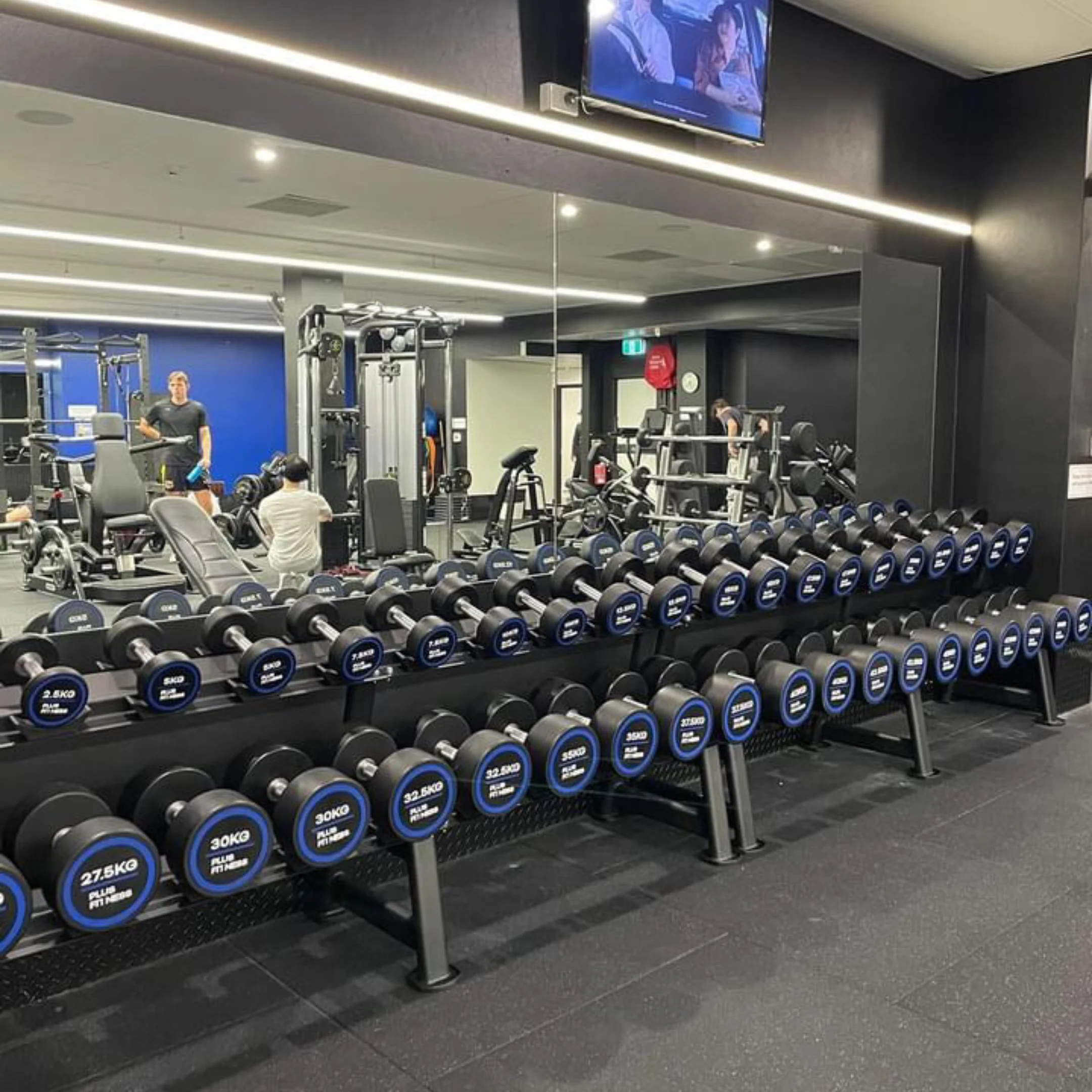 Custom PU Dumbbells with Your Gym Logo - Image 6