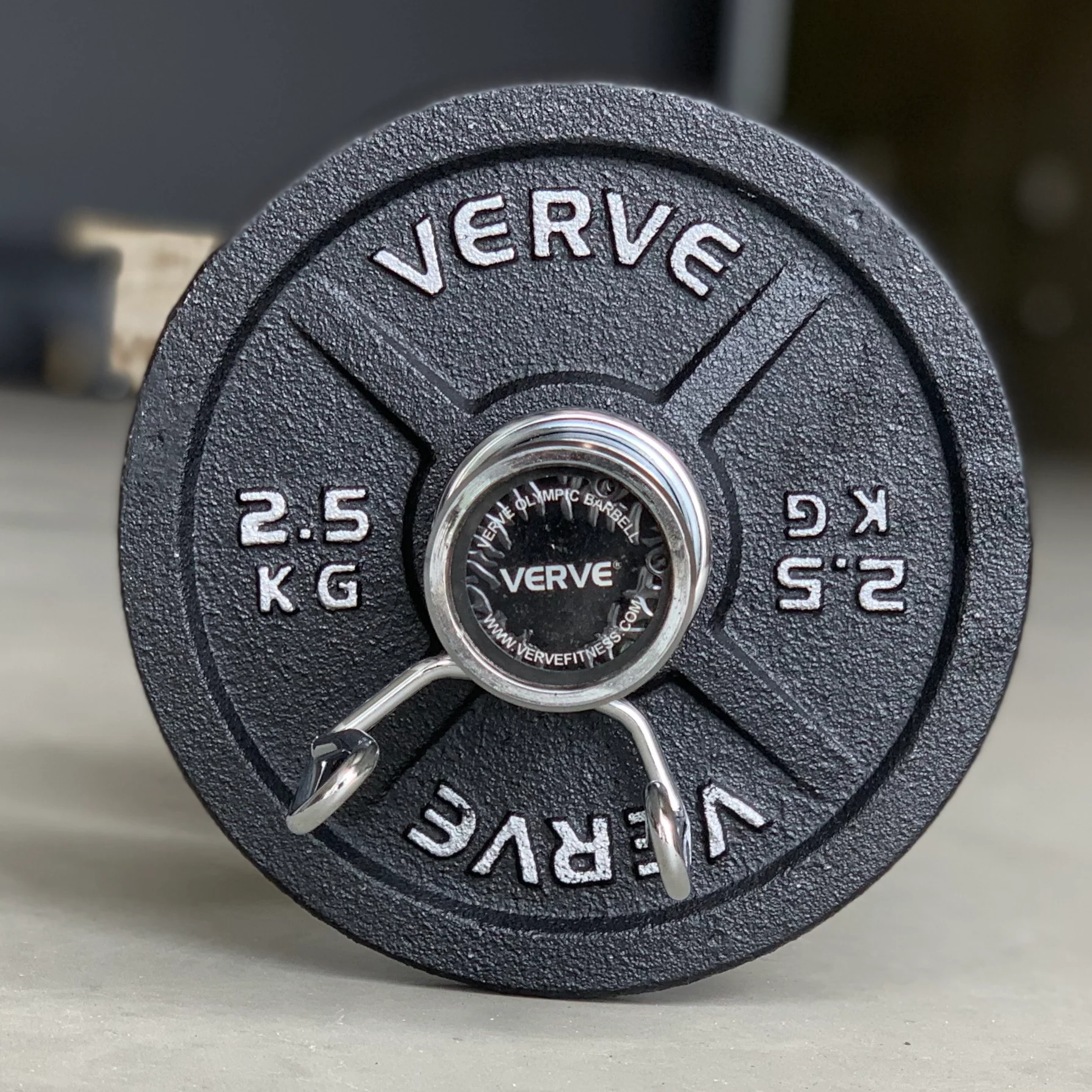 Olympic Dumbbell Handles with Bushings (Pair of 2) - Image 3