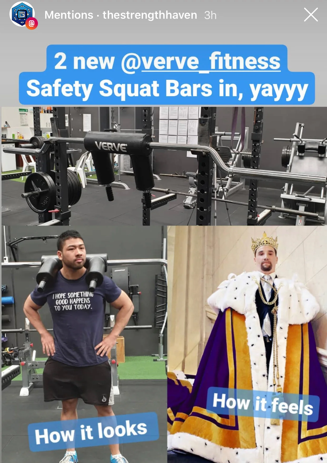 VERVE Elite Safety Squat Bar - Image 11
