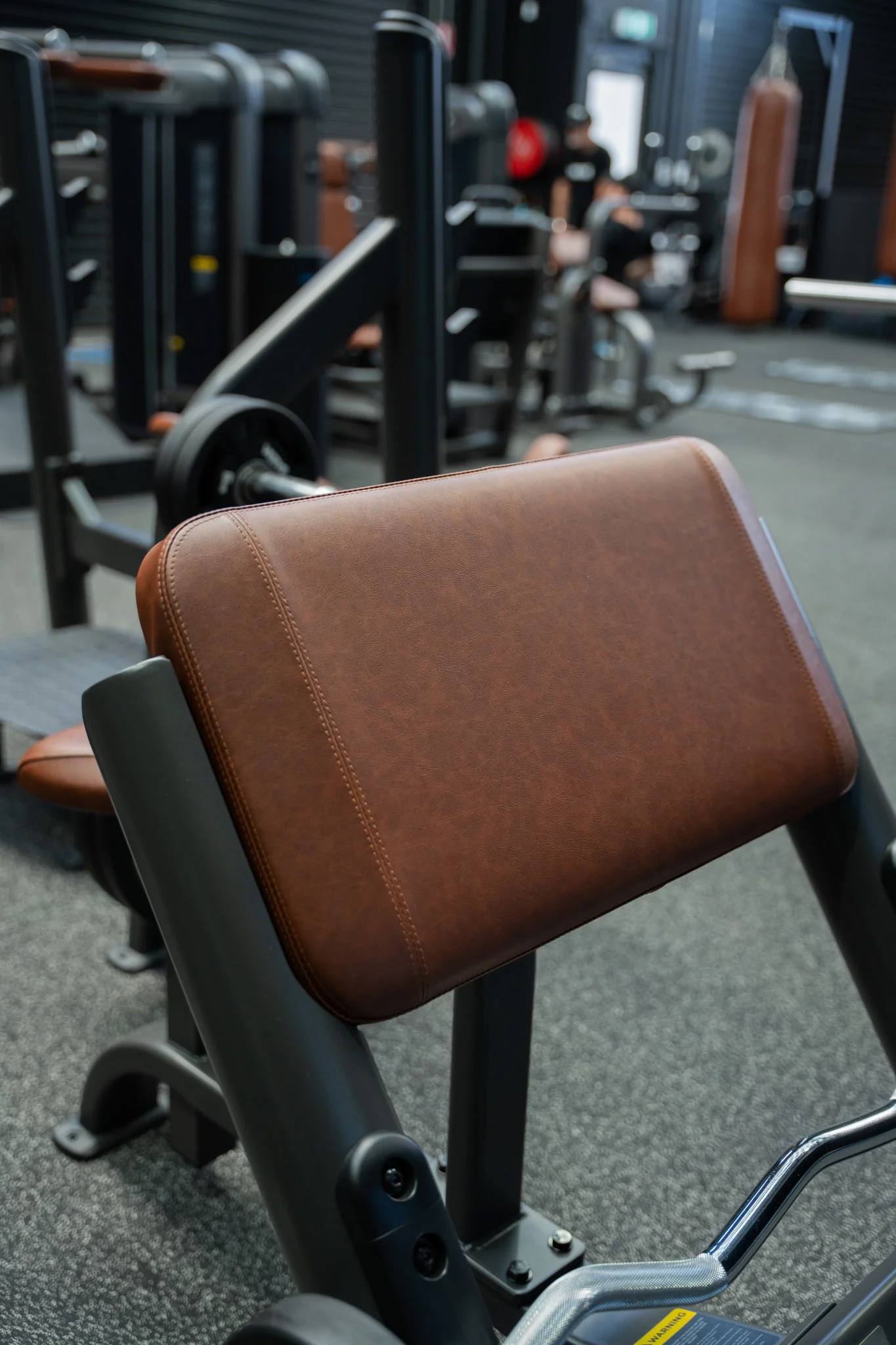 VERVE Preacher Curl Scott Bench (Brown) - Makoto Series | MADE TO ORDER - Image 3
