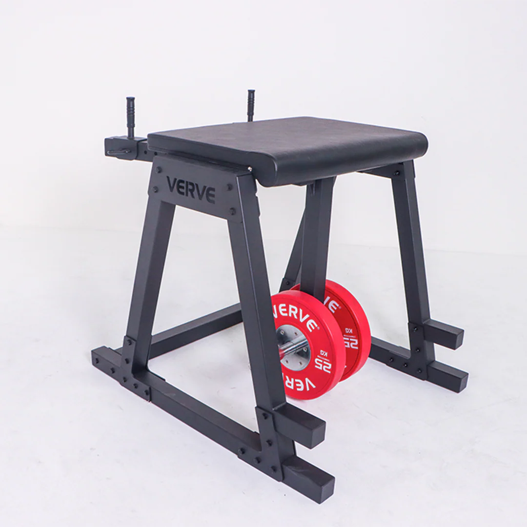VERVE Reverse Hyperextension - Image 3