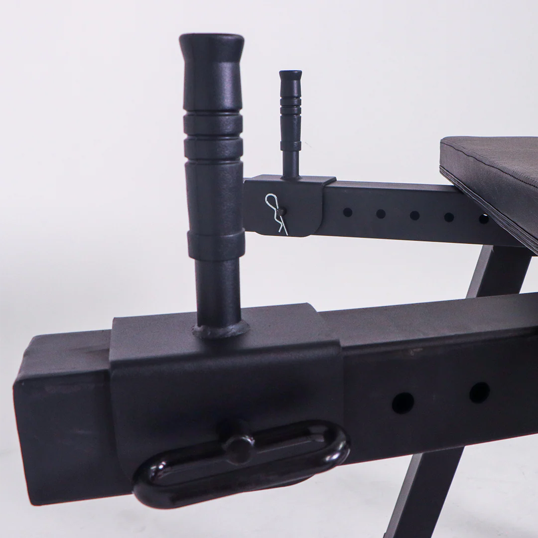 VERVE Reverse Hyperextension - Image 5