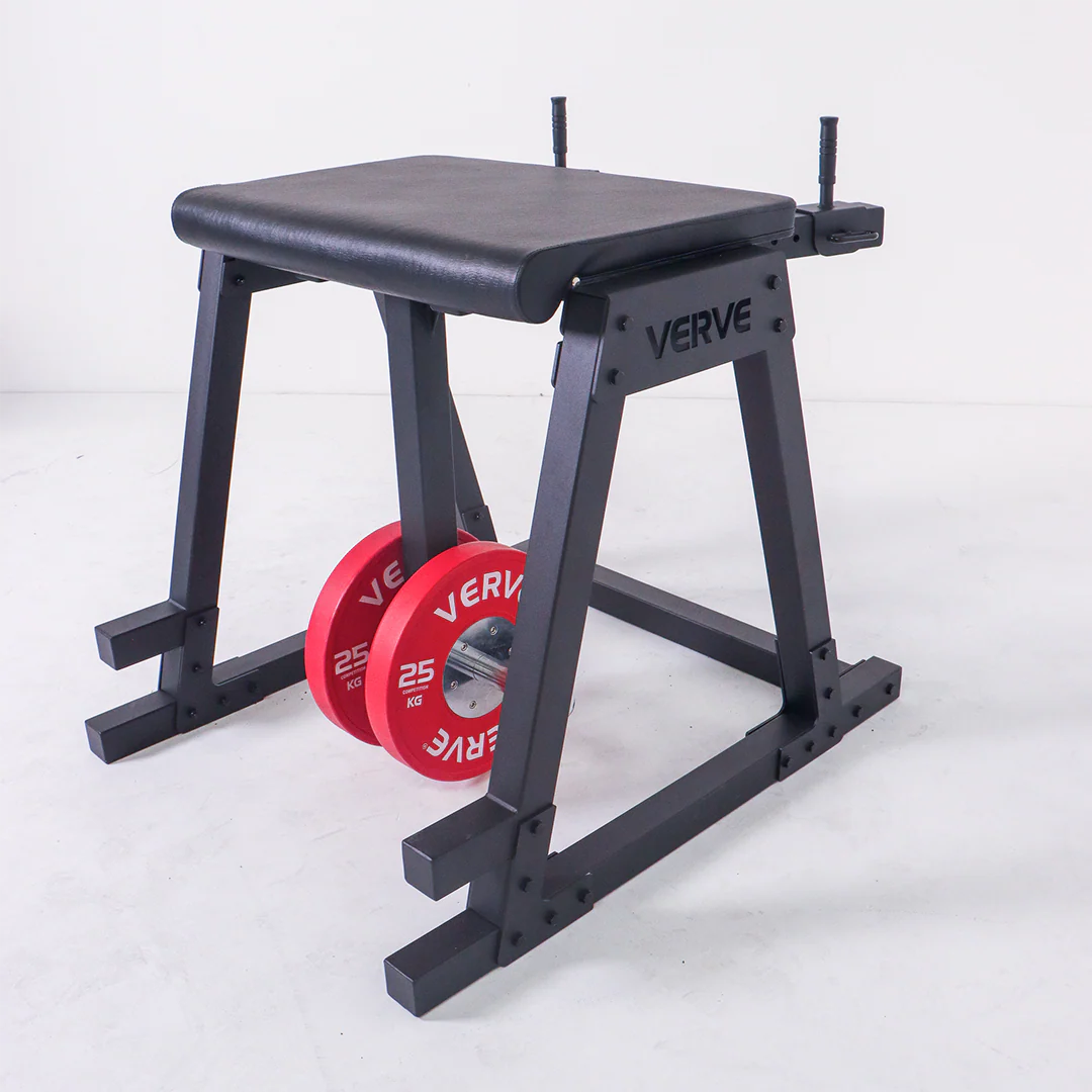 VERVE Reverse Hyperextension - Image 6